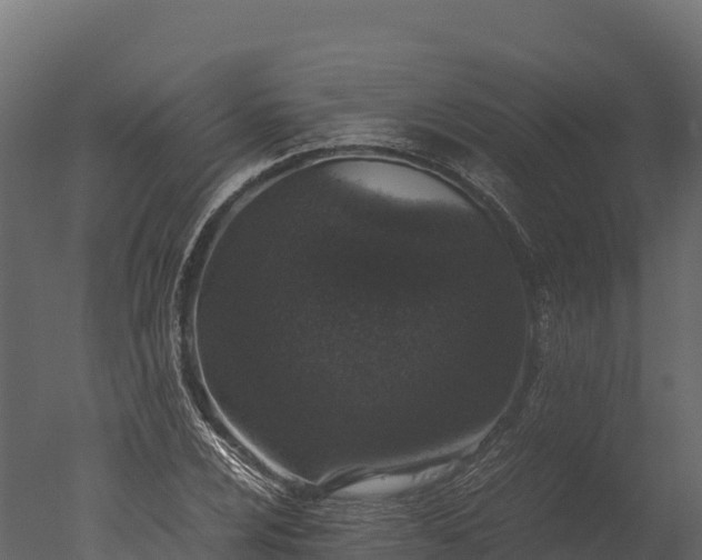 X0000050681024200506151723