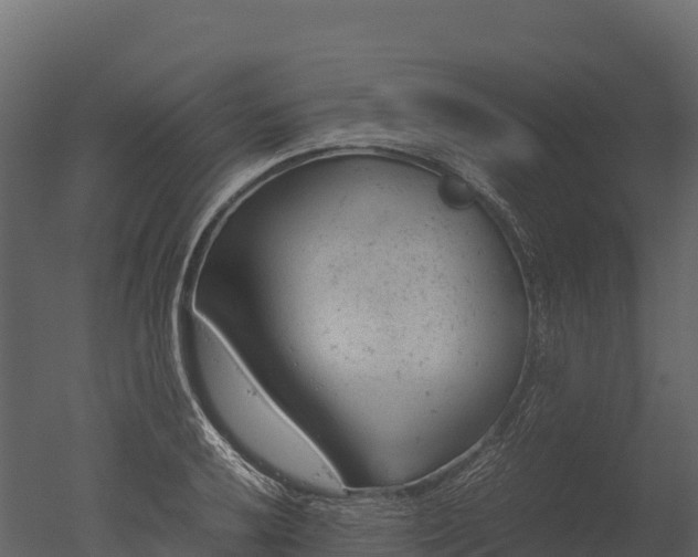 X0000050681032200506151723