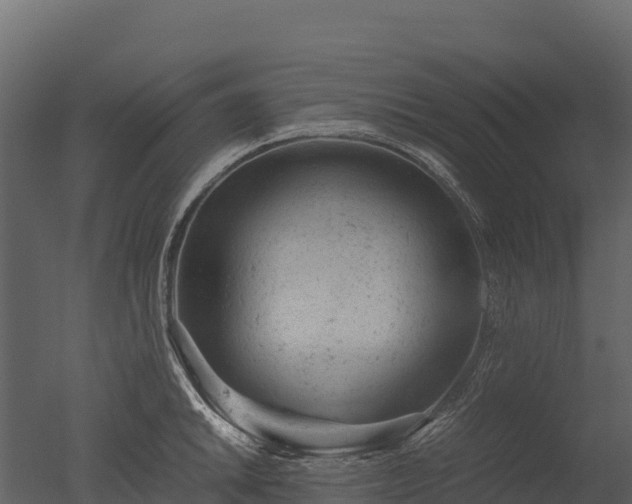 X0000050681046200506151723