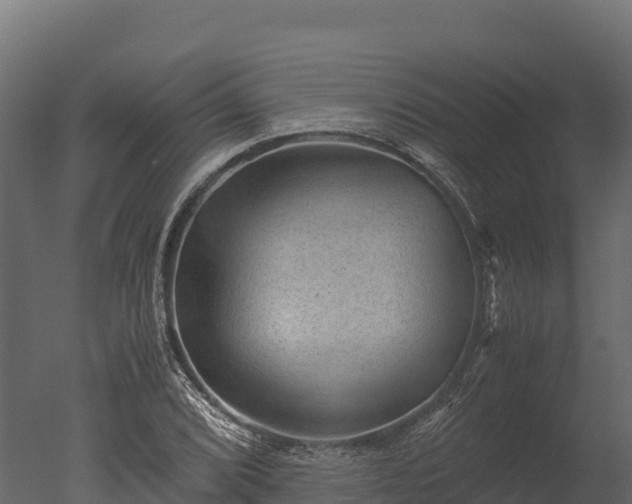 X0000050681072200506151722