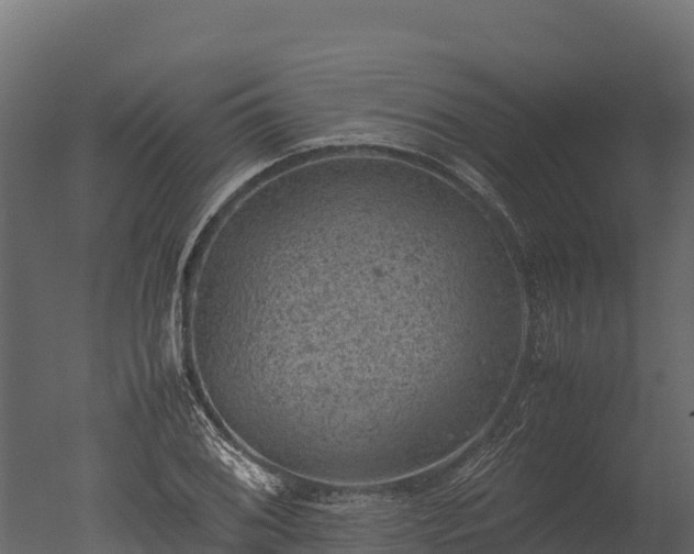 X0000050681076200506151722