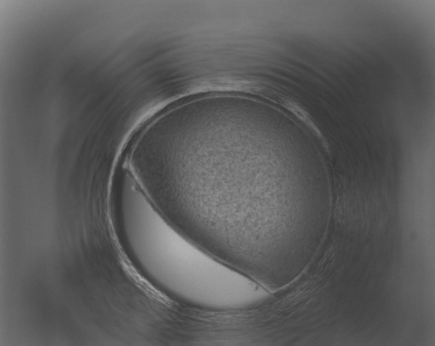 X0000050681080200506151722