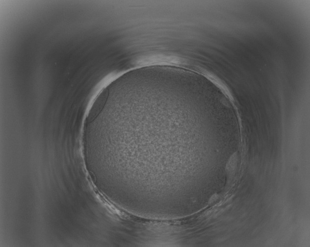 X0000050681104200506151722