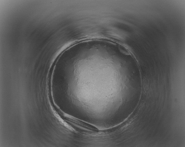 X0000050681142200506151722