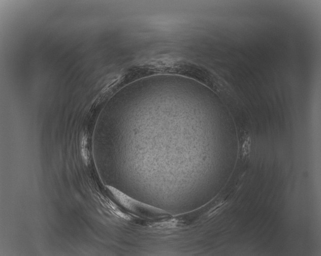 X0000050681156200506151721