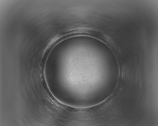 X0000050681164200506151721