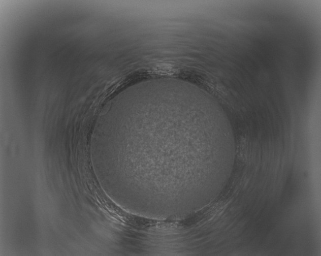 X0000050681201200506151719