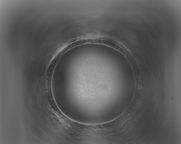 X0000050681208200506151719