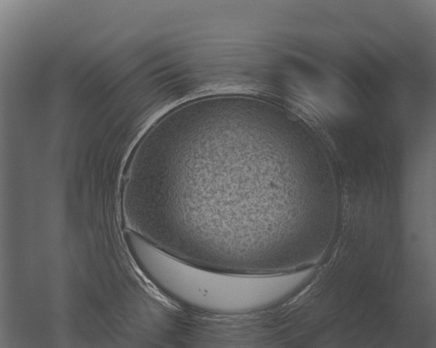 X0000050681236200506151720
