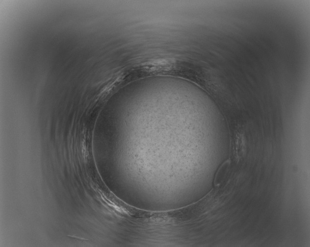 X0000050681250200506151719