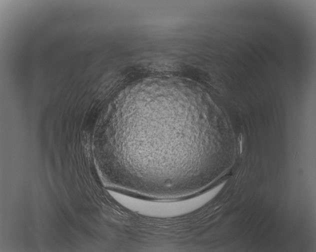 X0000050681251200506151719
