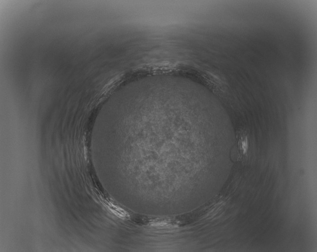 X0000050681252200506151719