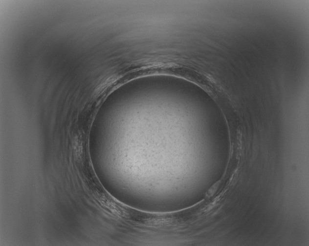 X0000050681257200506151719