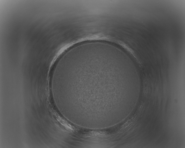 X0000050681270200506151719