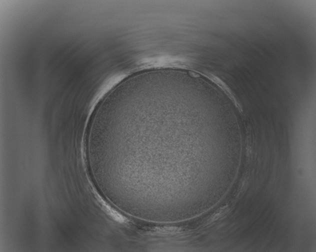 X0000050681285200506151719