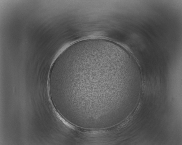 X0000050681294200506151719