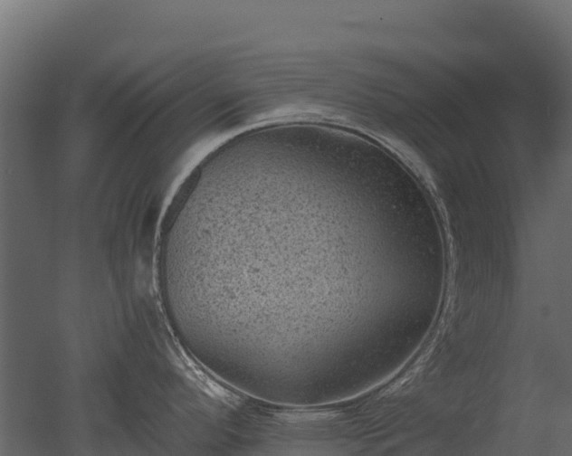 X0000050681296200506151719