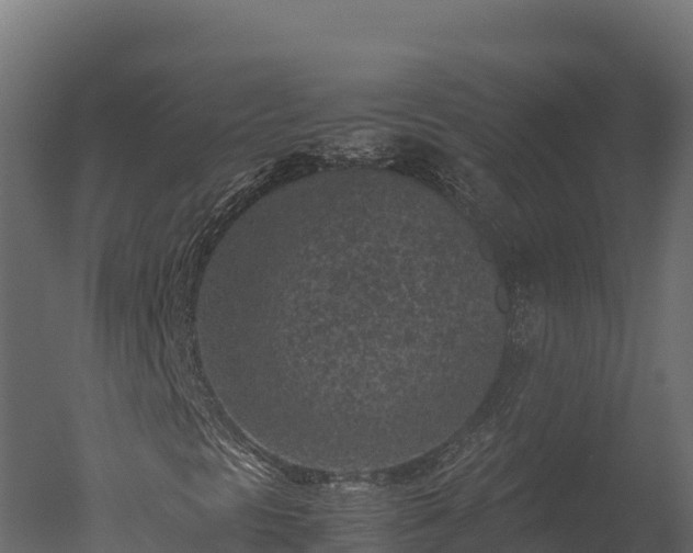 X0000050681297200506151718