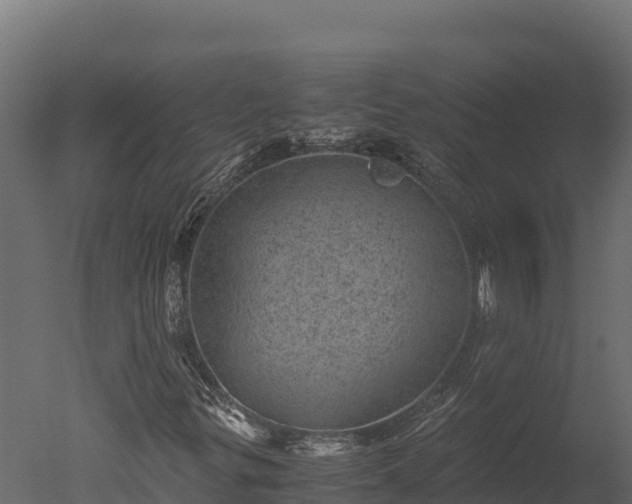 X0000050681299200506151718