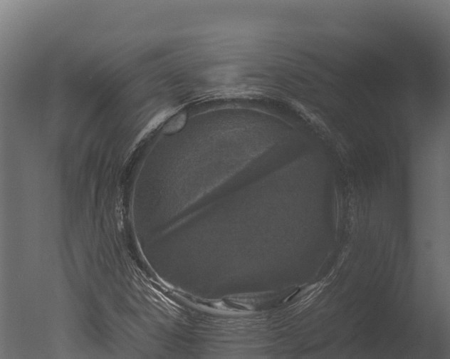 X0000050681306200506151718