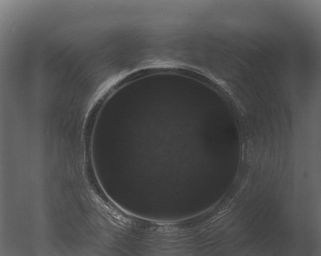 X0000050681319200506151718