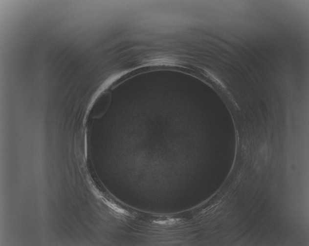 X0000050681323200506151718