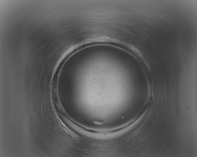 X0000050681326200506151718