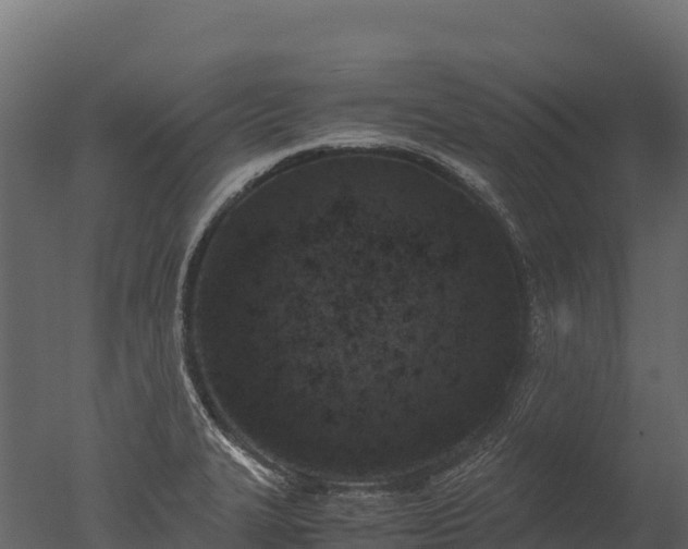 X0000050681327200506151718