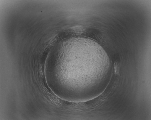 X0000050681347200506151718