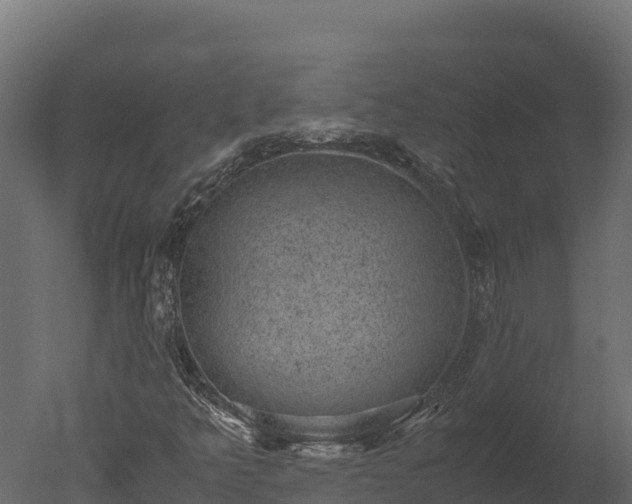 X0000050681349200506151718