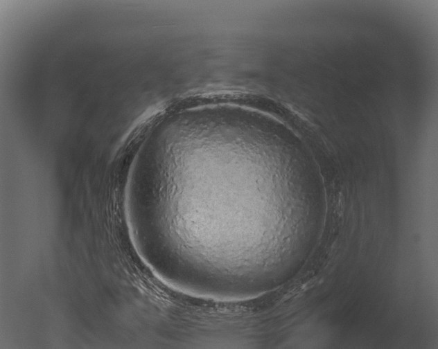 X0000050681351200506151718