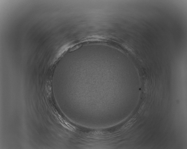 X0000050681355200506151718