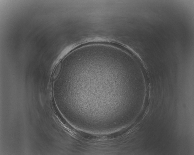 X0000050681367200506151717