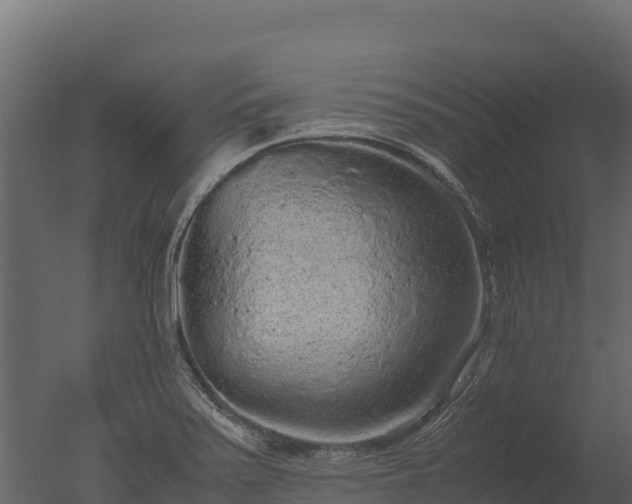 X0000050681371200506151717