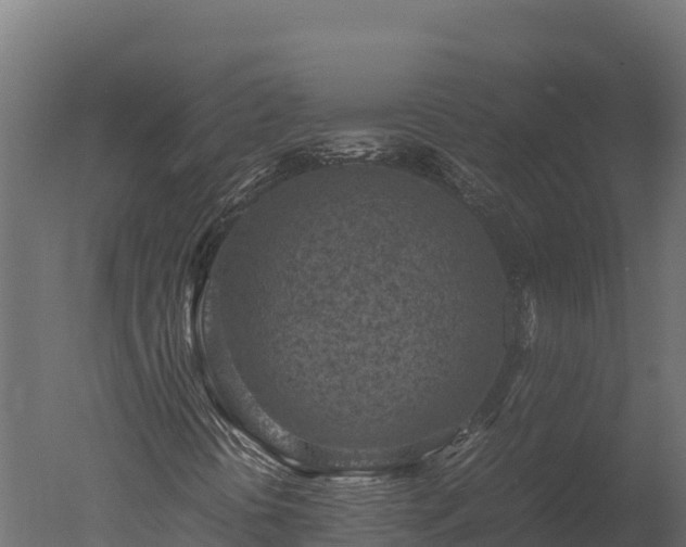 X0000050681394200506151716