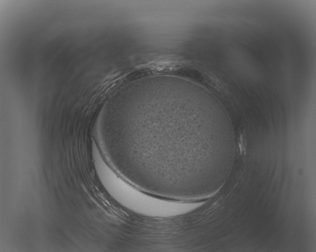 X0000050681396200506151716
