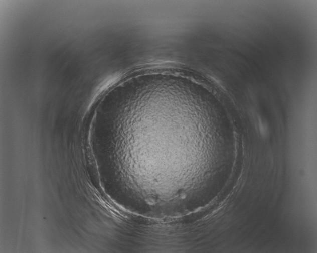 X0000050681405200506151716