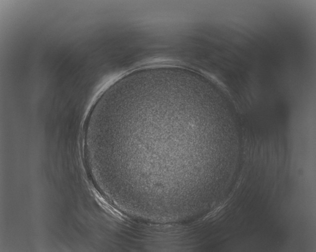 X0000050681413200506151716