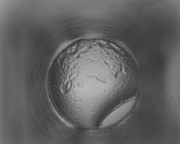 X0000050681429200506151717