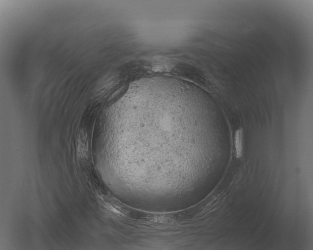 X0000050681443200506151716