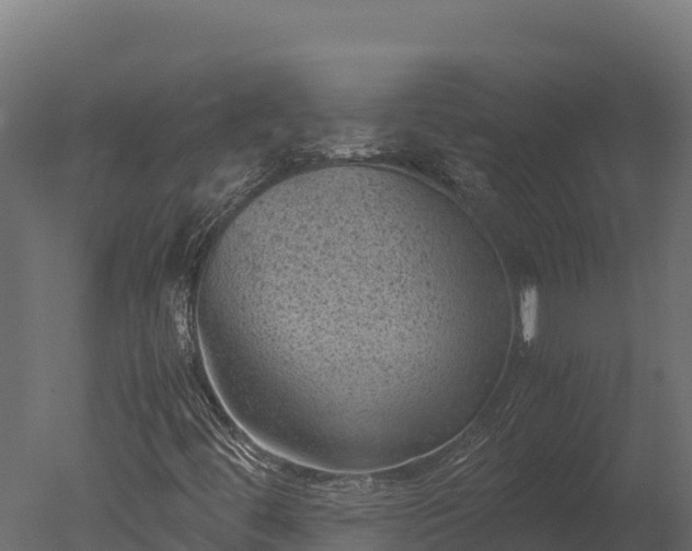 X0000050681444200506151716