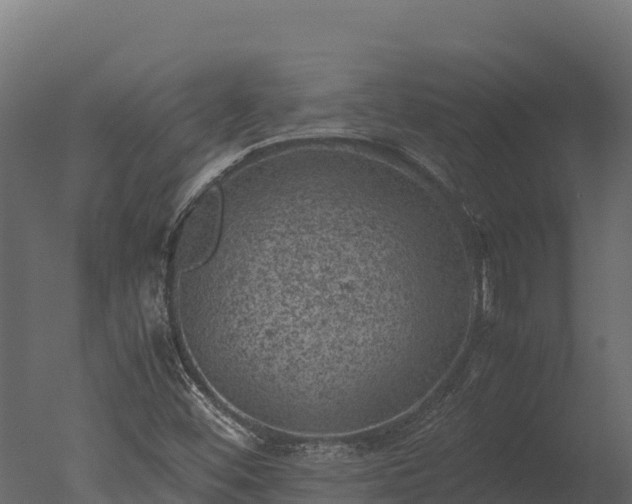 X0000050681452200506151716