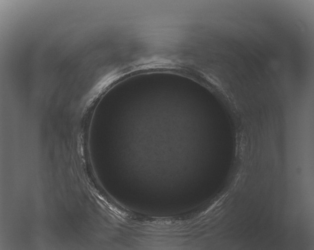 X0000050681455200506151716