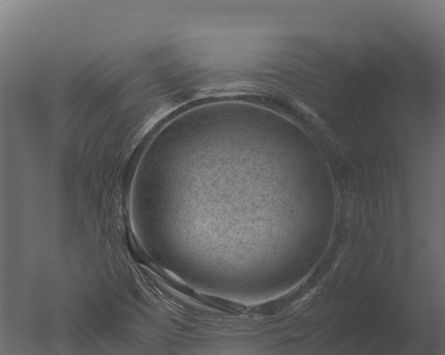 X0000050681457200506151716