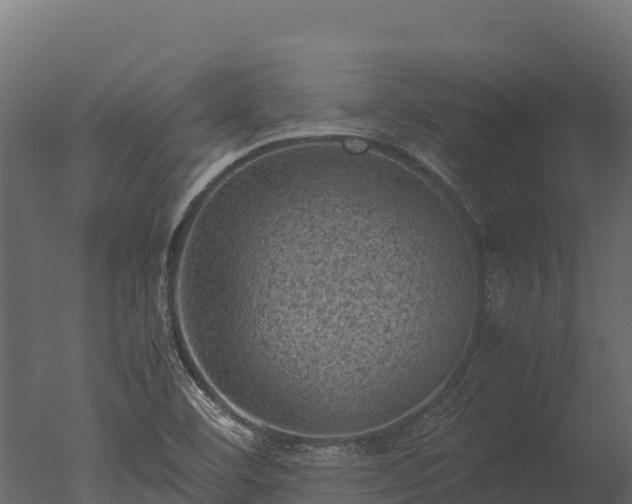 X0000050681460200506151716