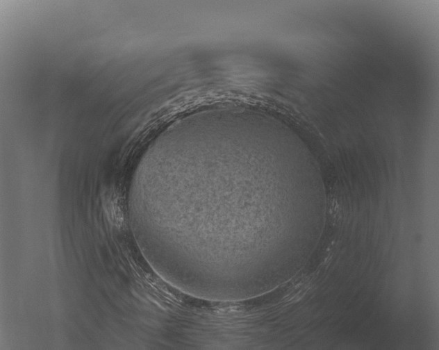 X0000050681490200506151714