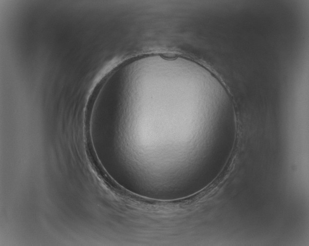 X0000050710008200506151900