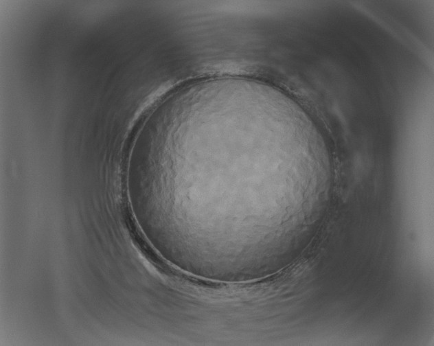 X0000050710012200506151859