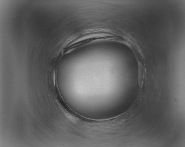 X0000050710013200506151859