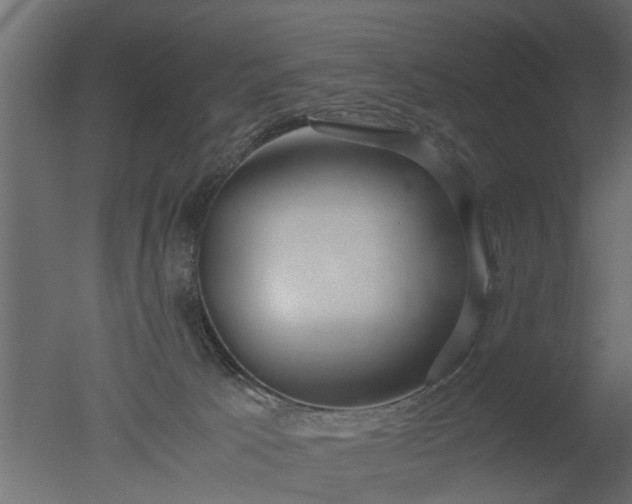 X0000050710033200506151859